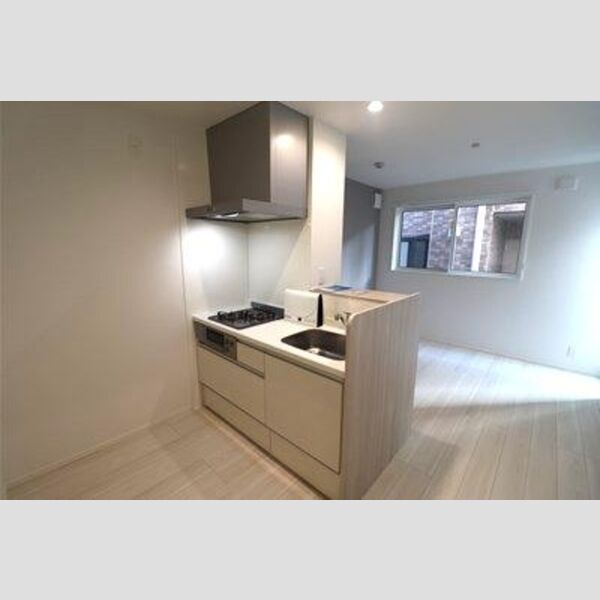 Skey residence塚越(スカイエレジデンスツカゴシ)201号室 キッチン