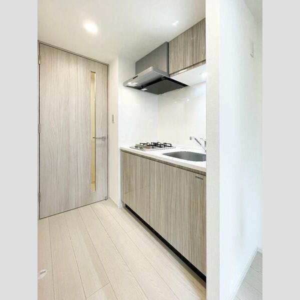 S-RESIDENCE駒沢大学駅前103号室 キッチン