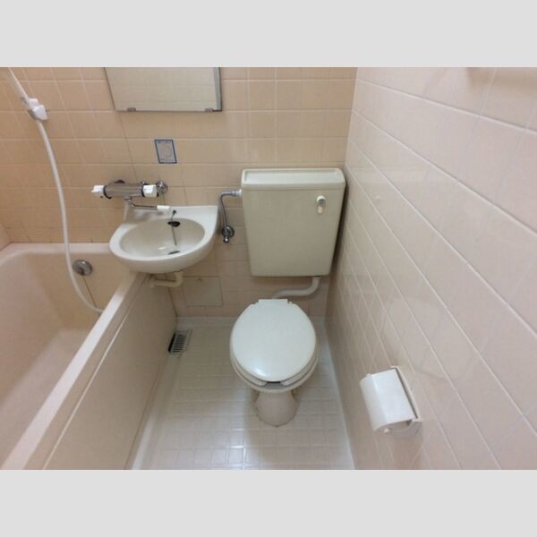 メゾン・ド・ドリーム横浜15号室 トイレ