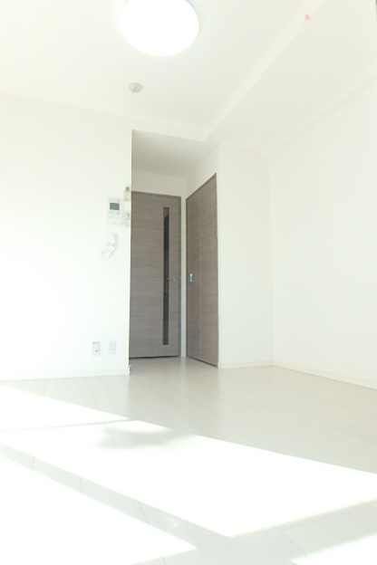 ガーラ・プレシャス川崎7階 部屋その他