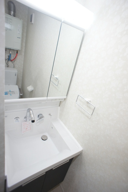 ＡＩＲＬＩＸ東向島0502号室 洗面