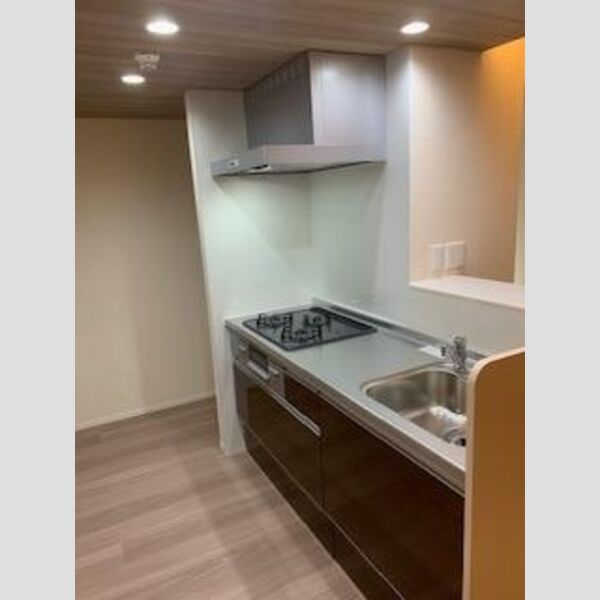 セジュール西台7202号室 キッチン