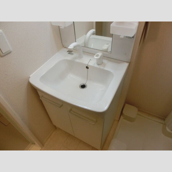 フリージア ヒルズ202号室 洗髪洗面化粧台