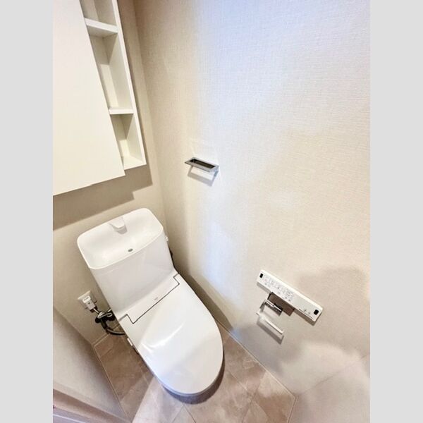ロイジェント南池袋0203号室 トイレ