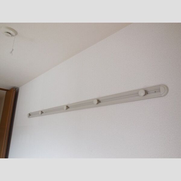 ヴィラ・メルベーユ　Ⅱ201号室 ハングバー