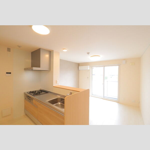 ロイジェントパークス レイクタウン Ⅲ　H201号室 LDK