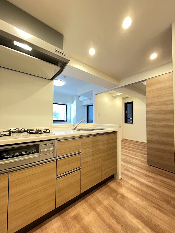 カージェ文京千石2階 キッチン