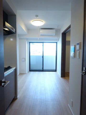 ラフィスタ蒲田南Ⅱ413号室 リビング