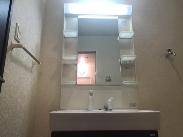 リリー・オブ・ザ・バレー201号室 洗髪洗面化粧台