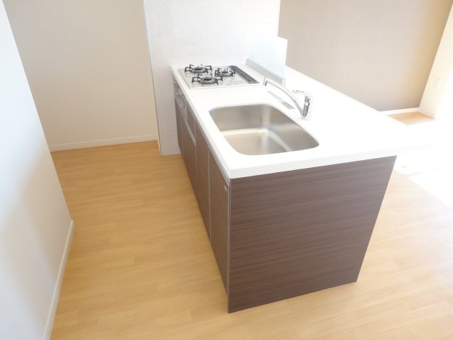 Ｒｅｇａｌｉａ（レガリア） キッチンスペース