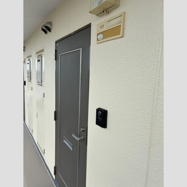 ハイムカメリア303号室 玄関ドア