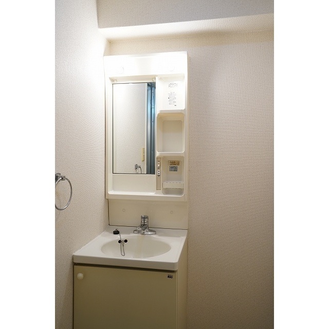 グレース大蔵0202号室 独立洗面台