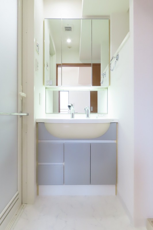 Duo Stage白金高輪6階 洗面