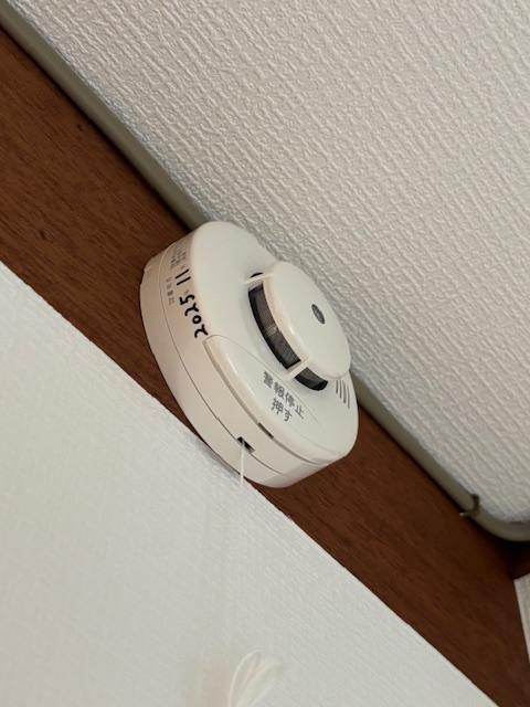 リバーメゾン狛江(旧第六ハイツ三正) その他、部屋スペース