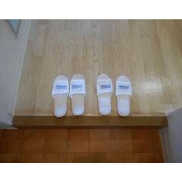 ラ・レジダンス・ド・鷺沼0211号室 玄関