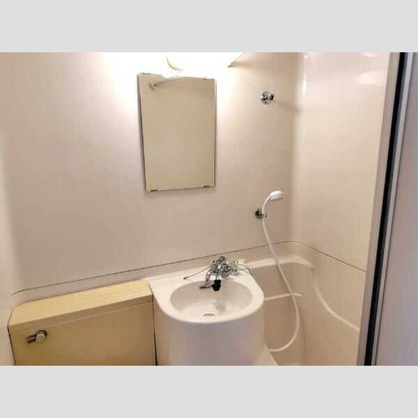 グリーンハイム桜塚407号室 洗面