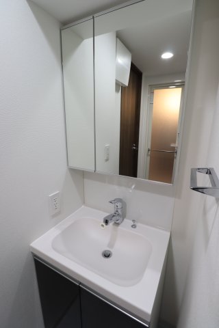 GENOVIA白糸台skygarden0901号室 洗面