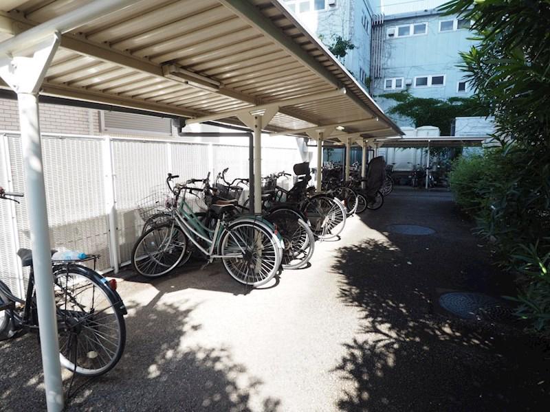 チェスターハウス川口3階 駐輪場