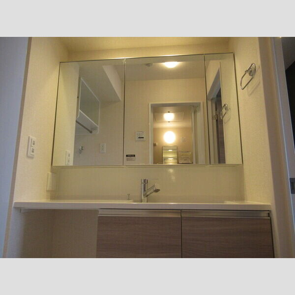 Felicidade(フェリシダージ)301号室 洗髪洗面化粧台