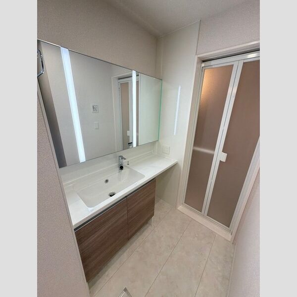 ゼラニウム湘南台303号室 洗面所