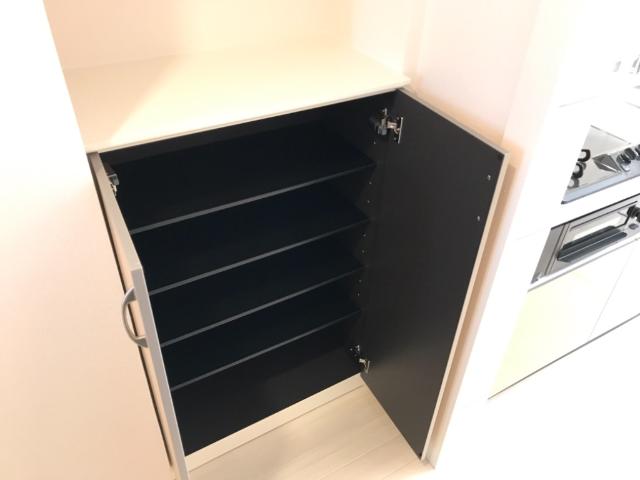 グランコンフォート（Grand Confort)103号室 下駄箱