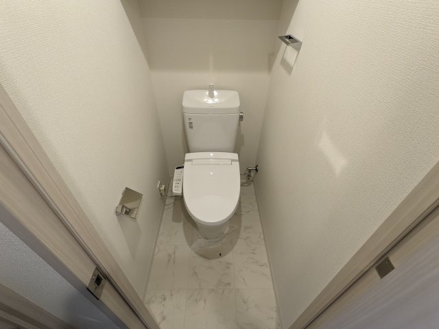 ケーディーエックスレジデンス豊洲309号室 トイレ