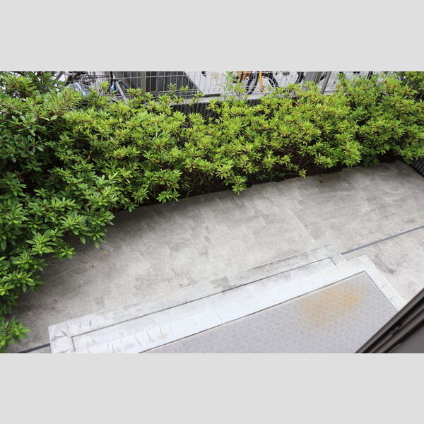 リバーサイド　ホシノ　Ⅴ テラス