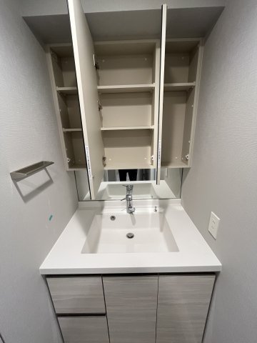 びゅうリエットグラン新宿戸山421号室 洗面