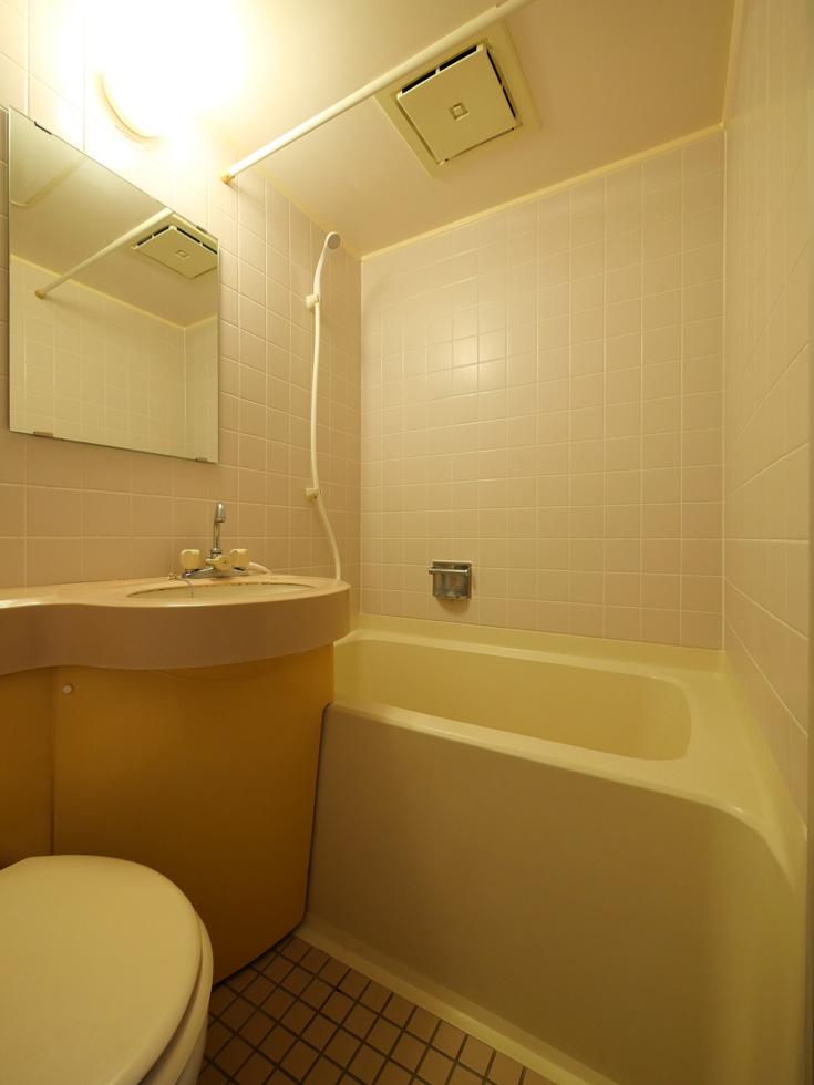 ライオンズテラス武蔵小金井2階 内観