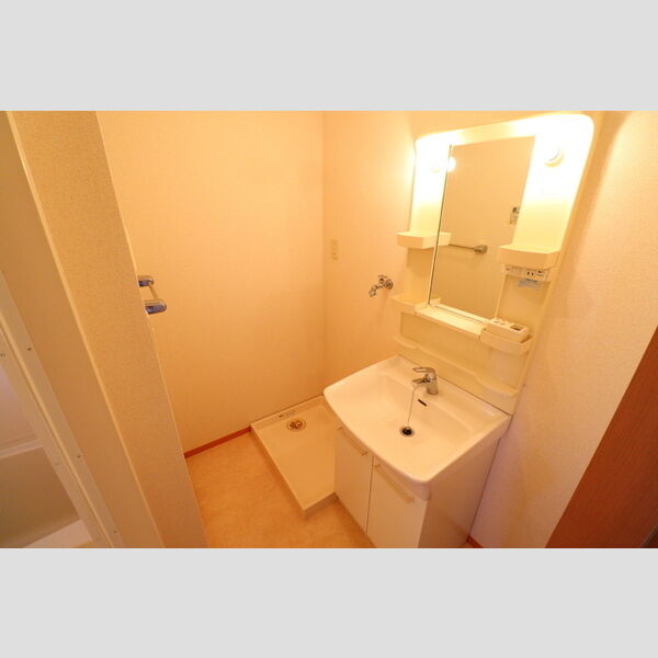 リヴェールNF小杉A305号室 洗面室