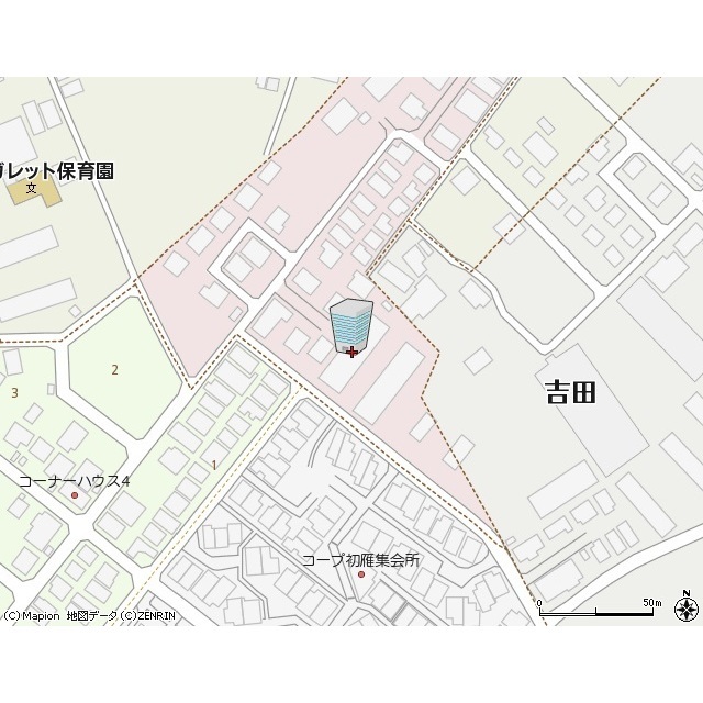 アムール germer 外観