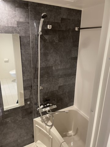 ネオステージ舟渡301号室 お風呂