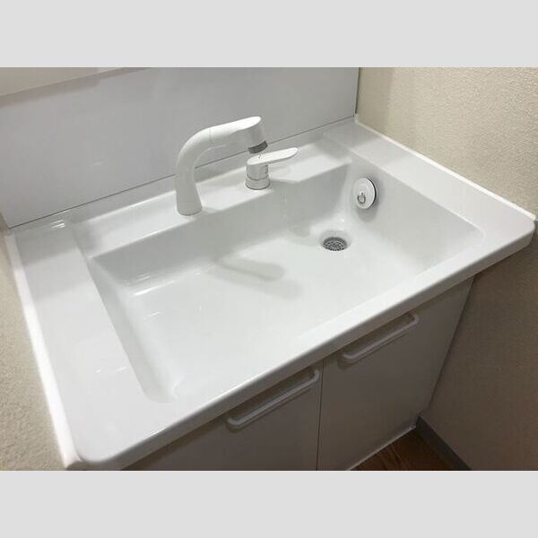 ドミール陽水 洗面
