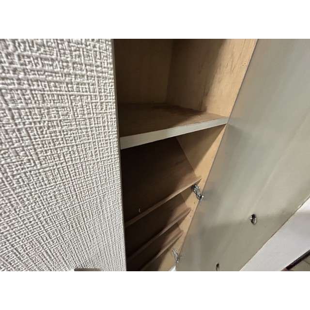 ヤングヒルズ越谷Ⅱ107号室 内観