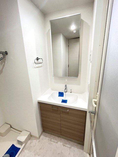 レジディア白金高輪2階 洗面