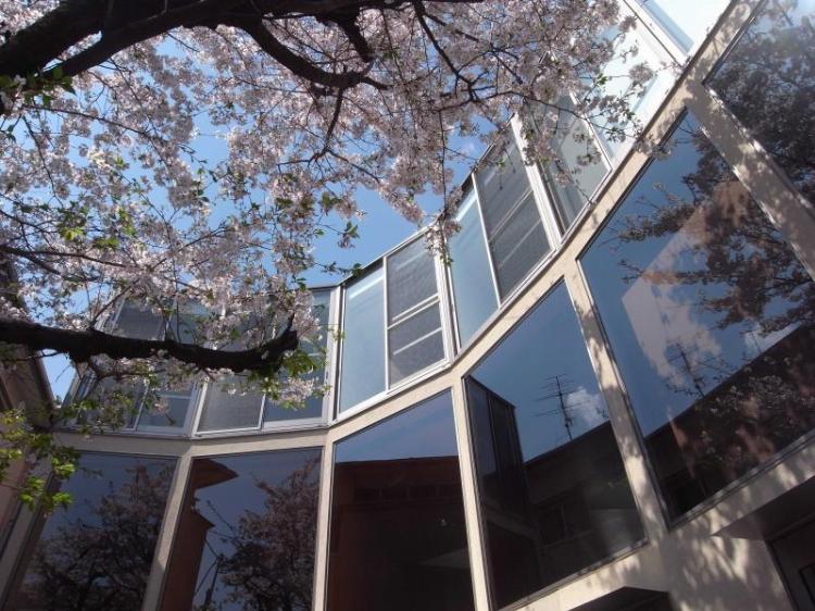 サクラノキテラス中目黒3階 エントランス