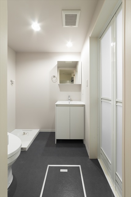 サンティエ袋山1階 シャンプードレッサー