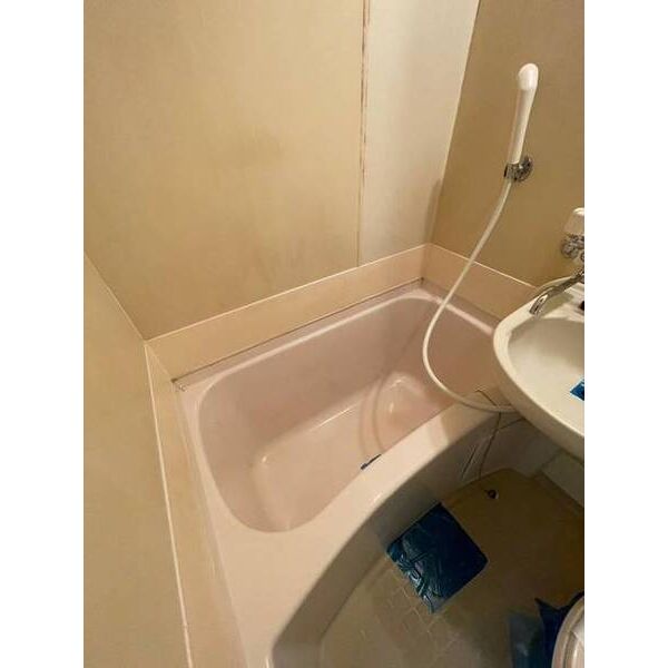 メゾン・ド・エルベット0203号室 お風呂