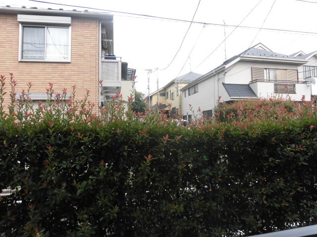 グレース吉岡0101号室 景色