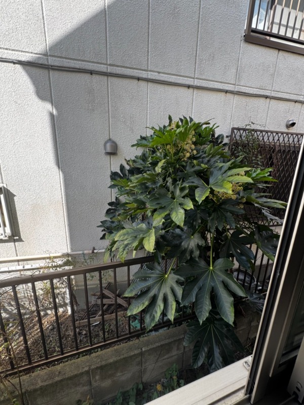 サークルハウス京成小岩1階 別部屋参考写真