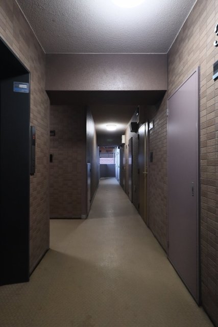 フェニックス幡ヶ谷壱番館7階 その他共有部分