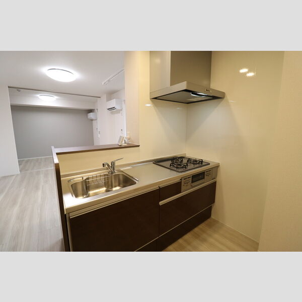 N・D-ROOM IIDACHOU　A棟206号室 対面キッチン