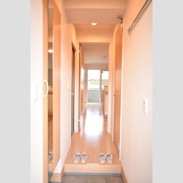 ルシエール氷川102号室 玄関