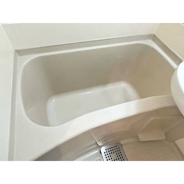 ラ・レジダンス・ド・ピエール0205号室 お風呂