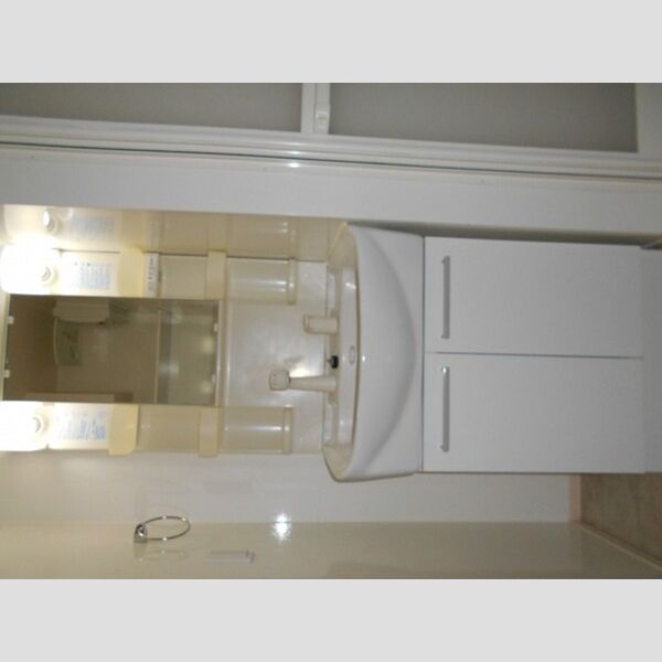 グリーンハウスC 洗面所