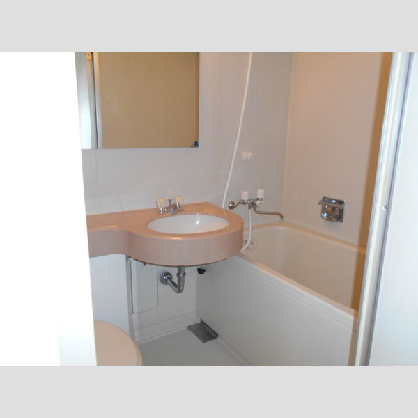 germer武蔵中原(ジェルメムサシナカハラ)311号室 洗面(ユニット)