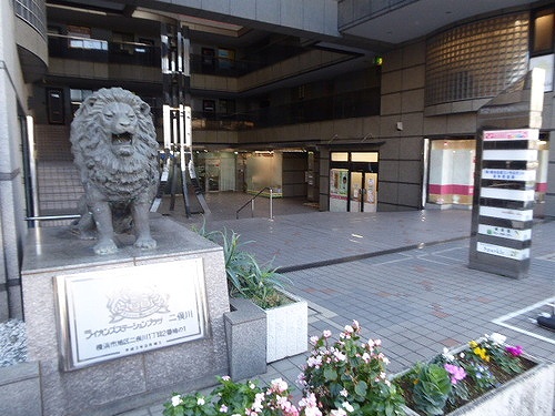 ライオンズステーションプラザ二俣川０８０３号室 エントランス