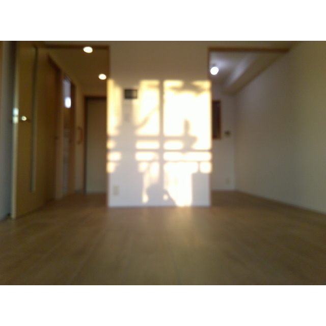 ベェルヴェル稲城0410号室 内観