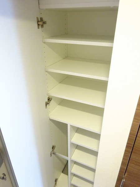 ラフィスタ蒲田南Ⅱ605号室 収納