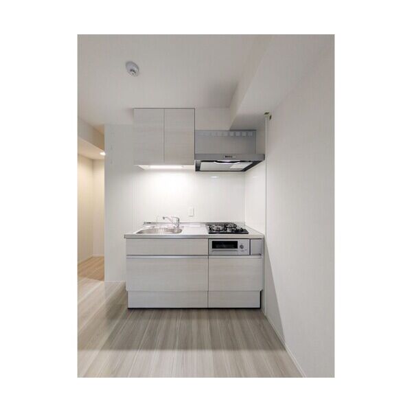 LAPIN湘南101号室 キッチン